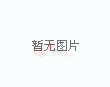 2026世界杯：24支直通球队与8支复活球队的淘汰赛表现对比深度解析